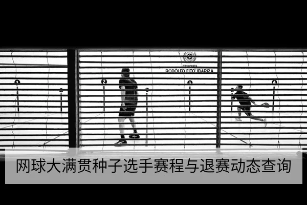 网球大满贯种子选手赛程与退赛动态查询